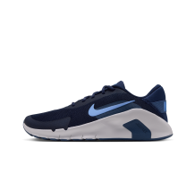 Nike Flex Train (HV9972-404)