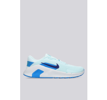 Nike Flex (HV9972-401)