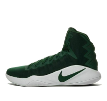 Nike Hyperdunk 2016 TB Gorge Green (856483-331)