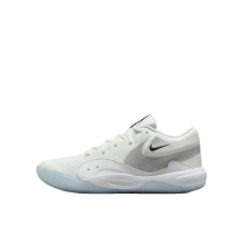 Nike Hyperquick SE (HF3240-101)