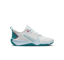 Nike Indoor Omni Multi Court (DM9027-109)