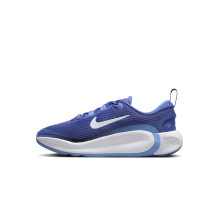 Nike Infinity Flow (FD6058-401)