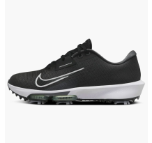 Nike Infinity Tour 2 Vapor Green Iron Grey (FD0217-002)