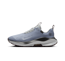 Nike InfinityRN 4 GORE TEX (HQ0265-400) in blau