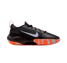 Nike IsoFly (FN4384-009)