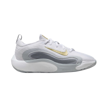 Nike IsoFly (FN4384-100)