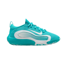 Nike IsoFly (FN4384-300)