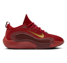 Nike IsoFly (FZ7298-600)