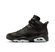 Jordan 6 Xuanwu (IR7572-220)