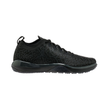 Jordan Trainer Low (845403-002)