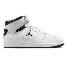 Nike Jordan Court Connect Mids (IQ8289_100)