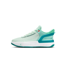 Jordan DAY1 EO (FQ1306-301)