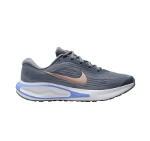 Nike Journey Run (FJ7765-004)