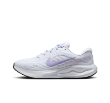 Nike Journey Run (FJ7765-113)