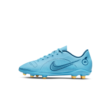Nike jr Mercurial Vapor 14 fg Club MG (DJ2895-484)
