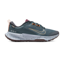 Nike Juniper Trail 2 GORE TEX (FB2065 300)
