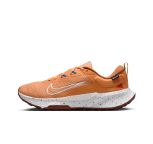 Nike Juniper Trail 2 GORE TEX wasserdichter (HM9734-800)