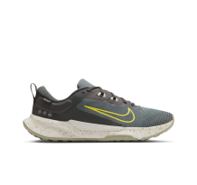 Nike Juniper Trail 2 GTX (HM9734-200)