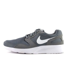 Nike Kaishi Wolf Low Tops Gray (654473-011)