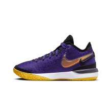 Nike Zoom LeBron NXXT Gen (DR8784-500)