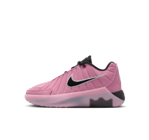 Nike LeBron Witness 9 (HV2270-601)