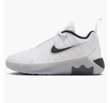 Nike LeBron Witness 9 Neutral Grey PS (HV2271-100)