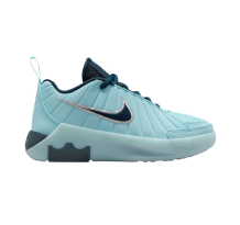 Nike LeBron Witness 9 (HV2271-401)