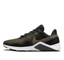 Nike Legend Essential 2 (CQ9356-330)