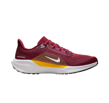 Nike Air Zoom Pegasus 41 (IB3184-600)