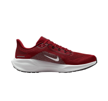Nike Air Zoom Pegasus 41 (IB3191-600)