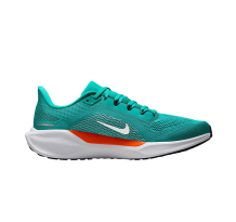 Nike Air Zoom Pegasus 41 (IB3200-300)