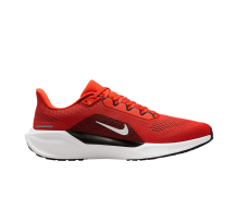 Nike Air Zoom Pegasus 41 (IB3202-800)