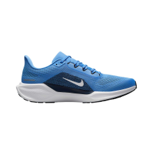 Nike Air Zoom Pegasus 41 (IB3204-400)