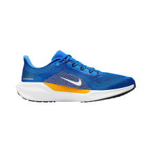 Nike Air Zoom Pegasus 41 (IB3208-400)