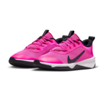 Nike Omni Multi Court (DM9027-602)