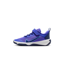 Nike Omni Multi Court (DM9026-500)