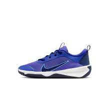 Nike Omni Multi Court (DM9027-500)