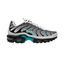 Nike Air Max Plus One Block Down (FZ3308-001)