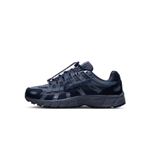 Nike P 6000 (IV5476-400)