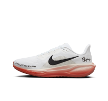 Nike Pegasus 41 Eliud Kipchoge (HJ7037-100) in weiss