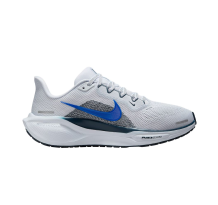 Nike Pegasus 41 (FD2723-006)
