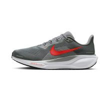 Nike Pegasus 41 Wide (FN4932-006)