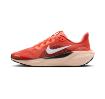 Nike Pegasus 41 (FN5041-800)