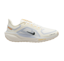 Nike Pegasus 41 GORE TEX (FQ1356-102)