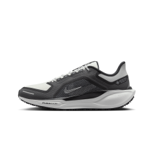 Nike Pegasus 41 GORE TEX Air Zoom (FQ1356-002) in grau