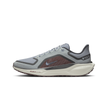 Nike Pegasus 41 GORE TEX GTX (FQ1356-003) in grau