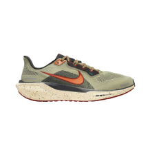 Nike Pegasus 41 (II4472-371)