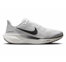 Nike Pegasus 41 (HQ3509-077)