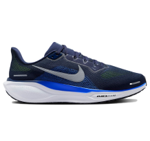 Nike Pegasus 41 (FD2722-400)