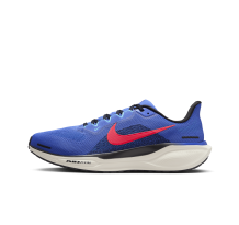 Nike Pegasus 41 (FD2722-401)